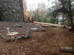 moving logs to&nbsp;back